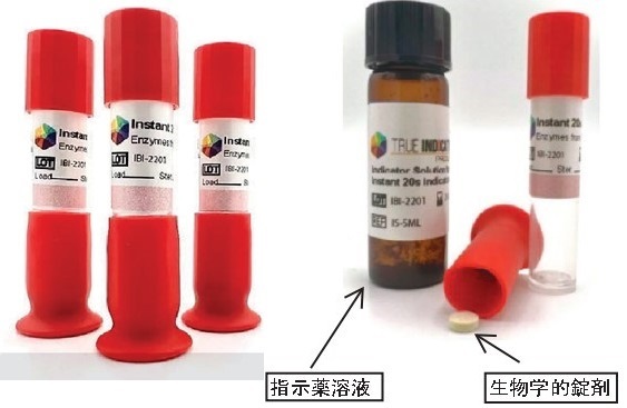 瞬間酵素インジケーター